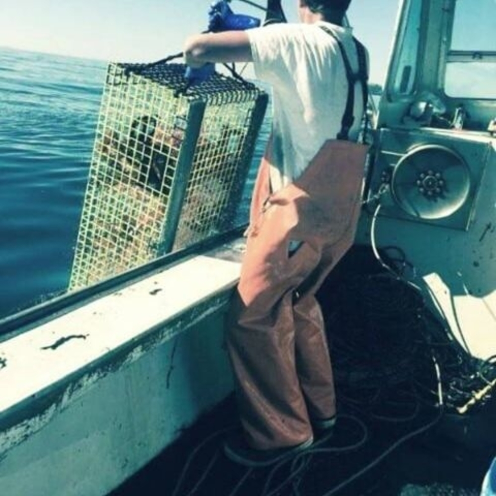 Meet your Posher, Shawn